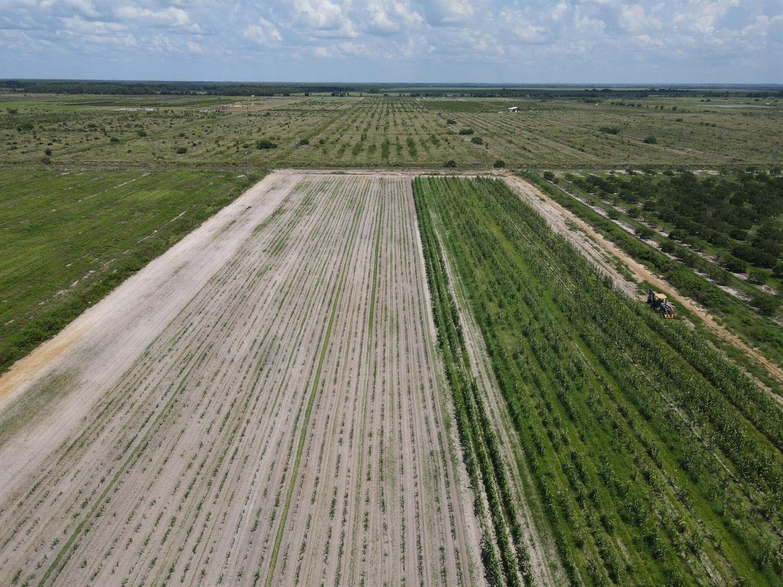 dji_fly_20260814_123322_66_1786725213690