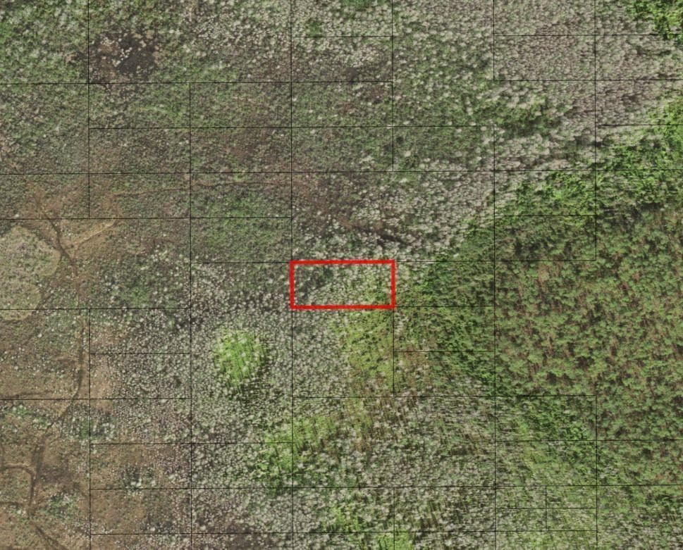 0 Holopaw Groves Road, FL 34772