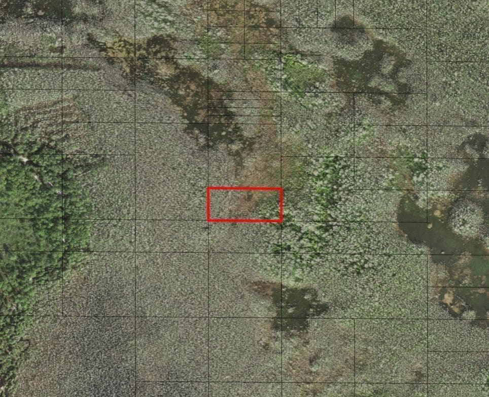0 Holopaw Groves Road, FL 34772