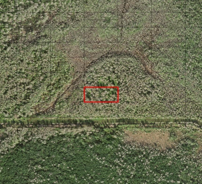 0 Holopaw Groves Road, FL 34772