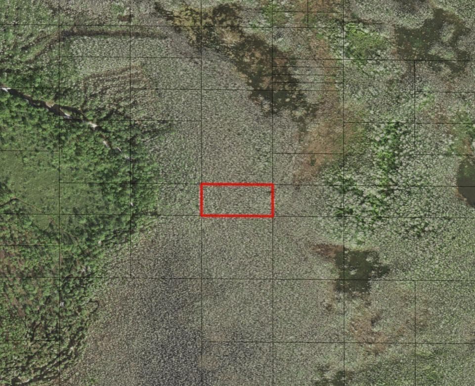 0 Holopaw Groves Road, FL 34772