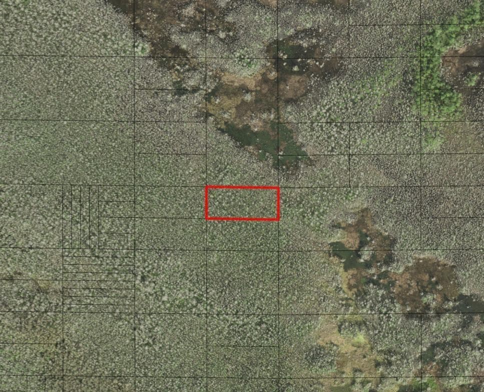 0 Holopaw Groves Road, FL 34772