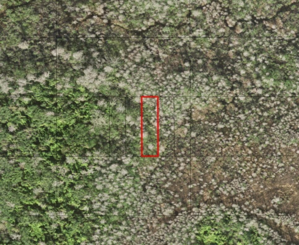 0 Holopaw Groves Road, FL 34772