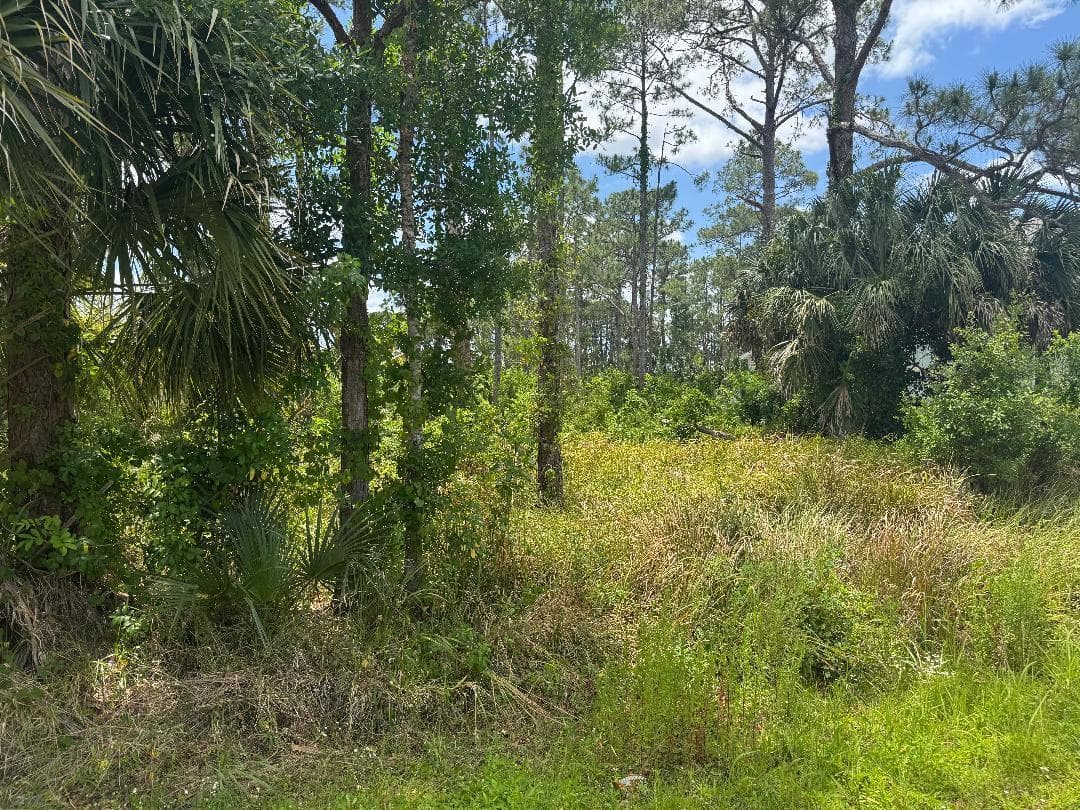 1458 Transcoro Street SE, Palm Bay FL 32909