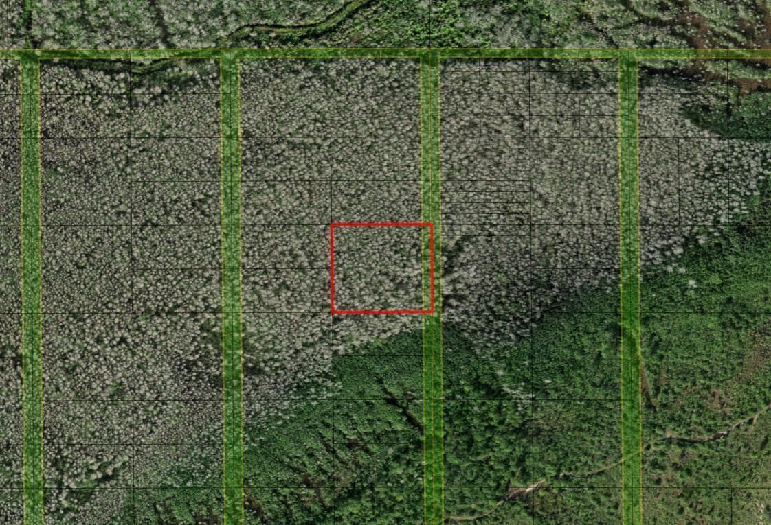 0 Holopaw Groves Road, FL 34772