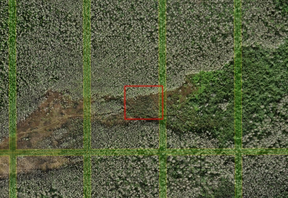 0 Holopaw Groves Road, FL 34772