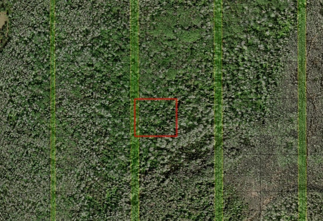 0 Holopaw Groves Road, FL 34772