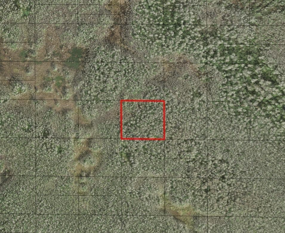0 Holopaw Groves Road, FL 34772