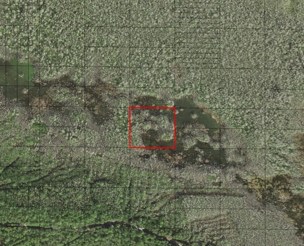 0 Holopaw Groves Road, FL 34772