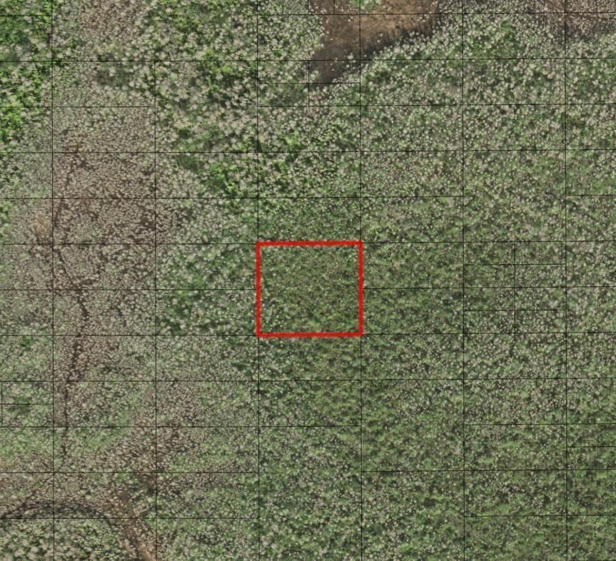 0 Holopaw Groves Road, FL 34772