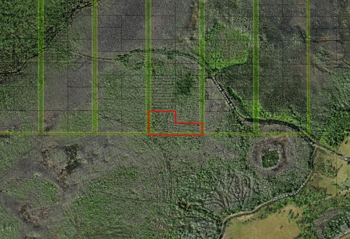 0 Holopaw Groves Road, FL 34772