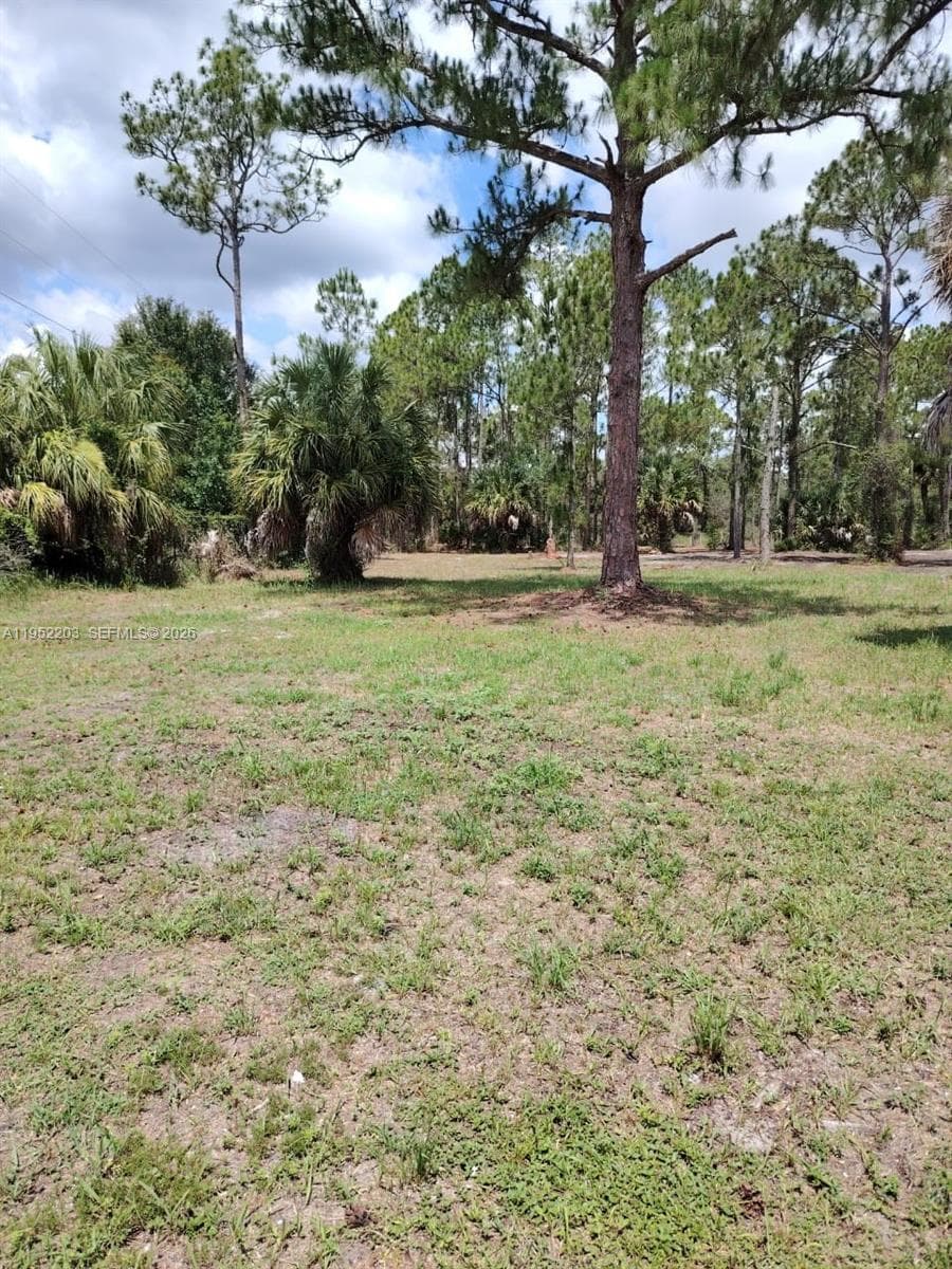 615 621 Hunting Club Ave, Clewiston FL 33440