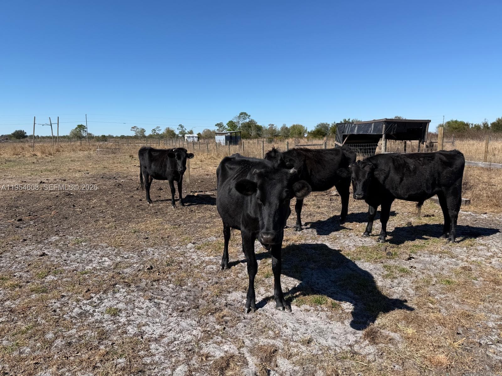 286 LOTT GRADE, Other City - Not In The State Of Florida FL 33960