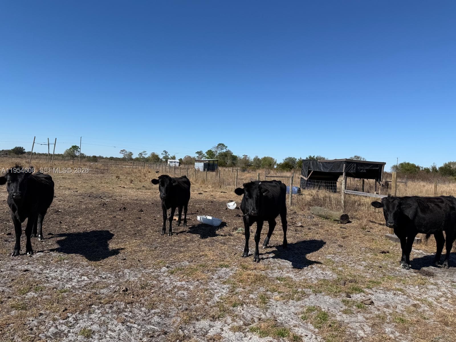 286 LOTT GRADE, Other City - Not In The State Of Florida FL 33960