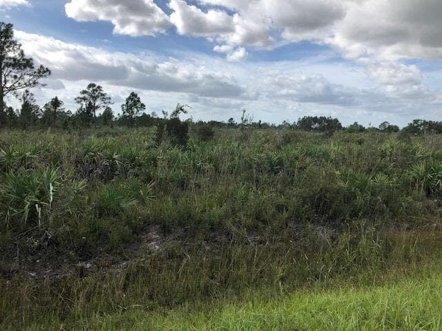Tbd Undetermined, FL 32113
