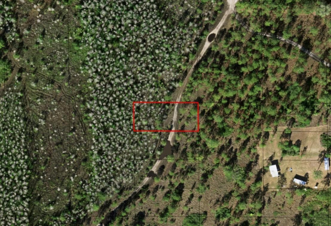 0 Holopaw Groves Road, FL 34772