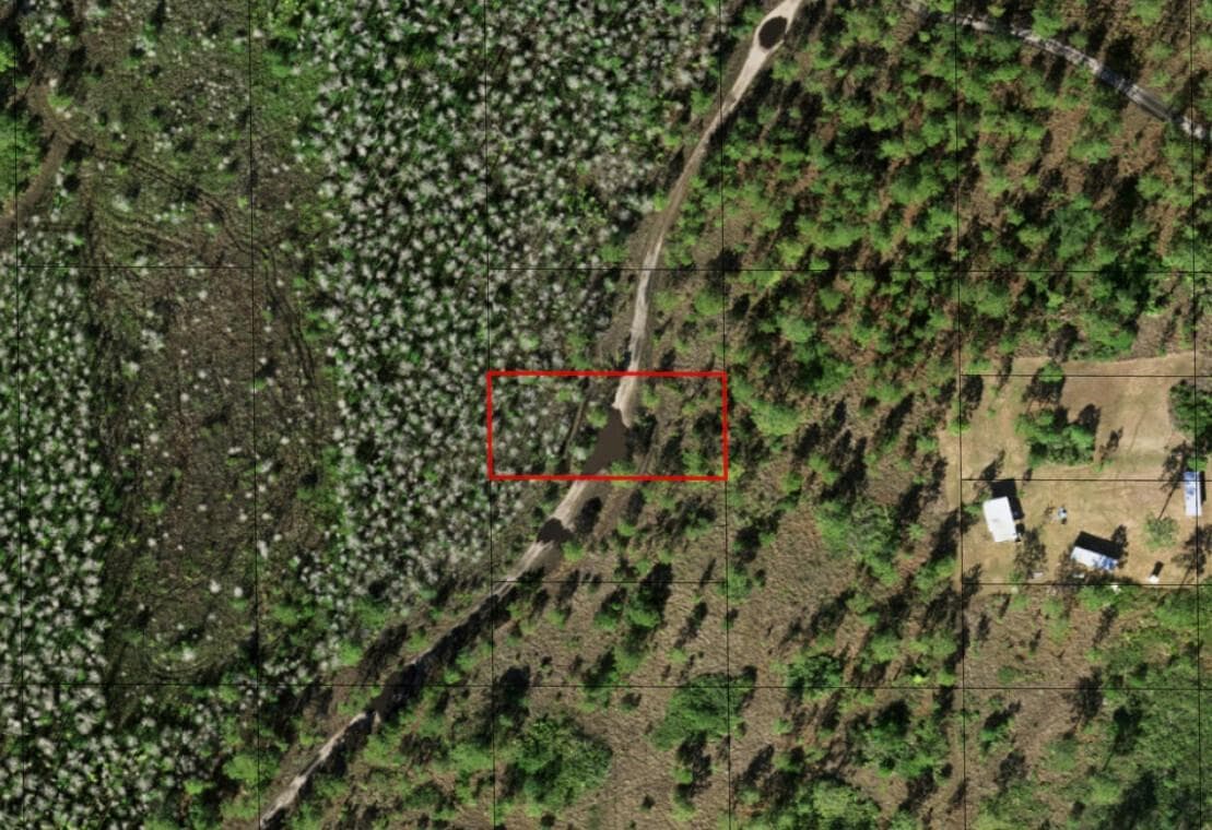 0 Holopaw Groves Road, FL 34772