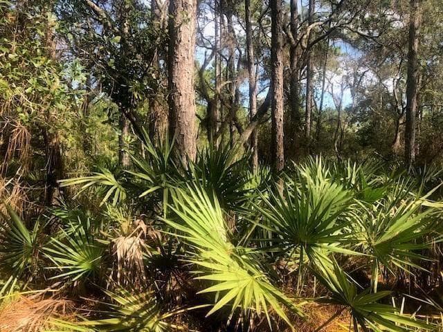 0 Old Grade Road, FL 33868