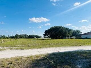 IMG_7416 (2S