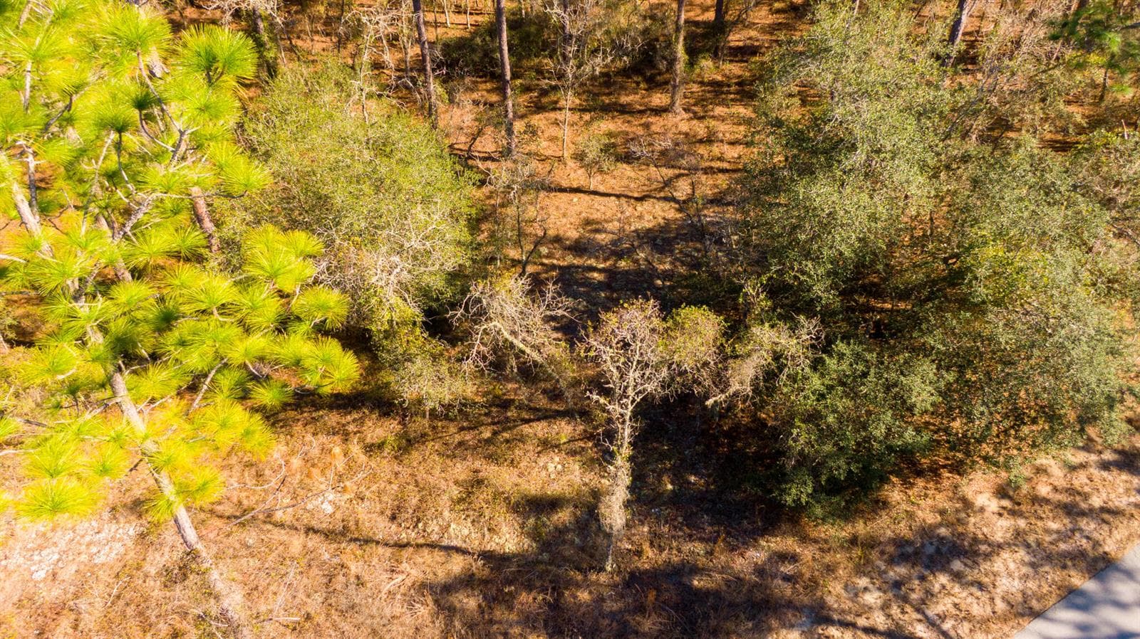 DJI_0926