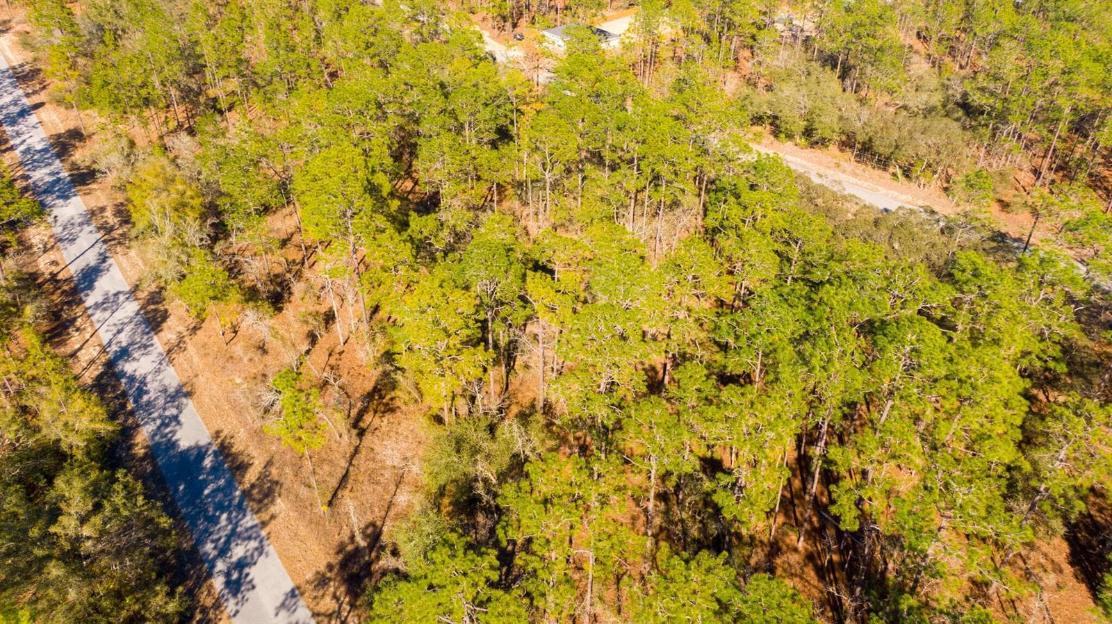 DJI_0936