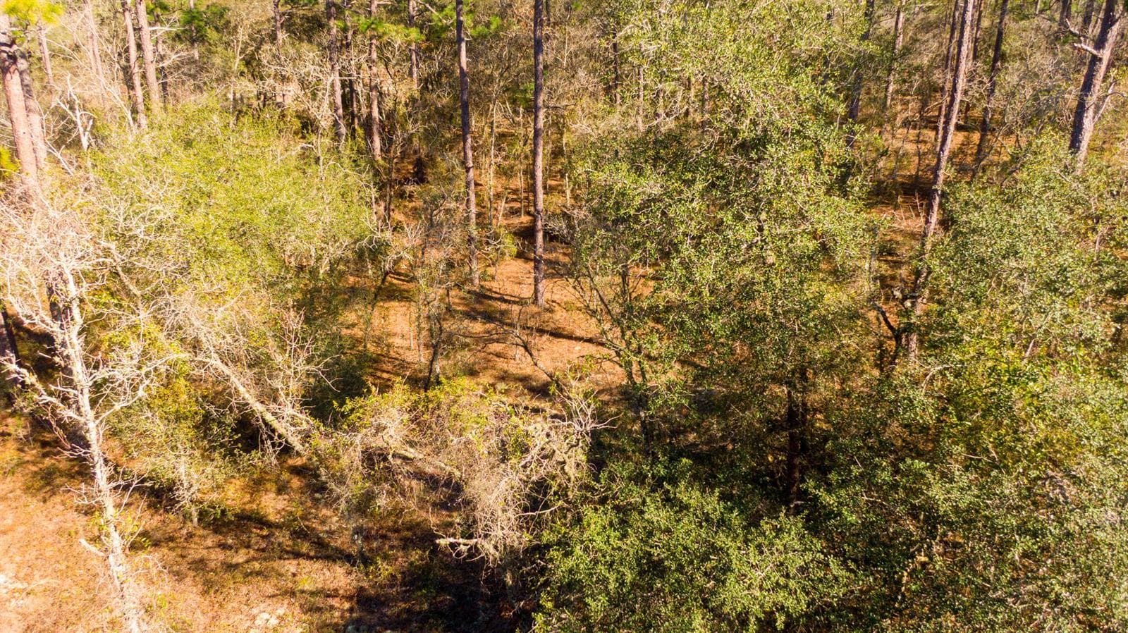 DJI_0929