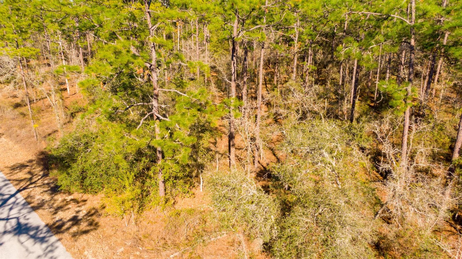 DJI_0930
