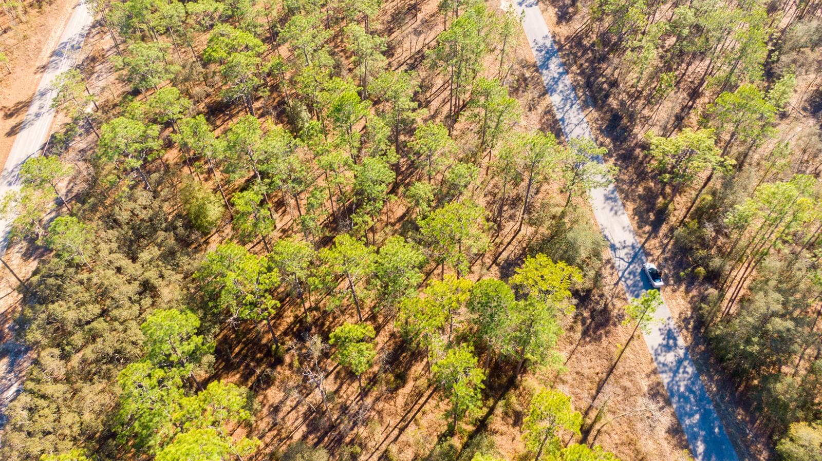 DJI_0944