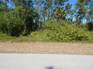 1047 Asther Street E, Lehigh Acres FL 33974
