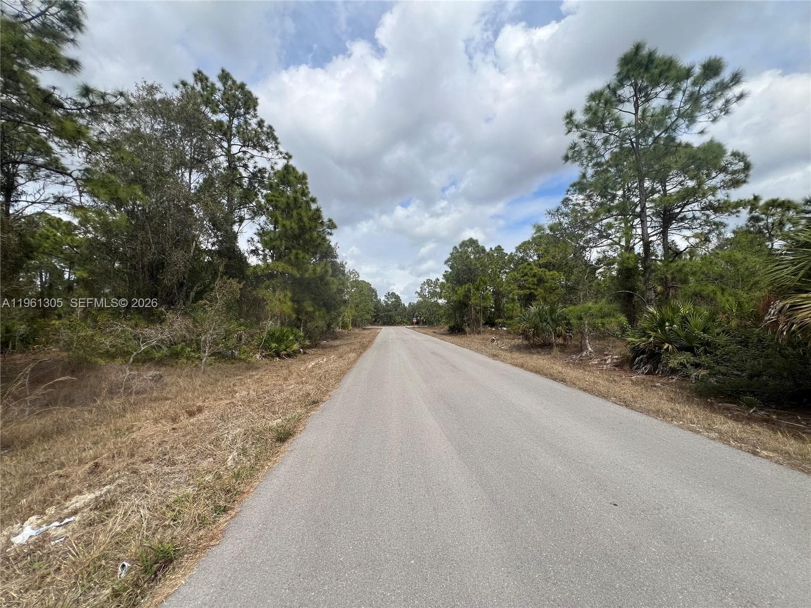 3400 Irma Ave N, Lehigh Acres FL 33971