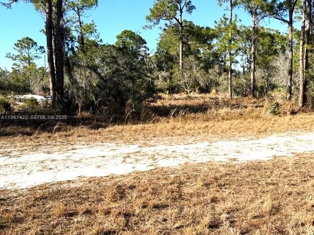 547 Branchwood Ave, Lake Placid FL 33852