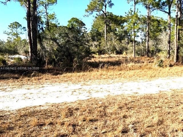547 Branchwood Ave, Lake Placid FL 33852
