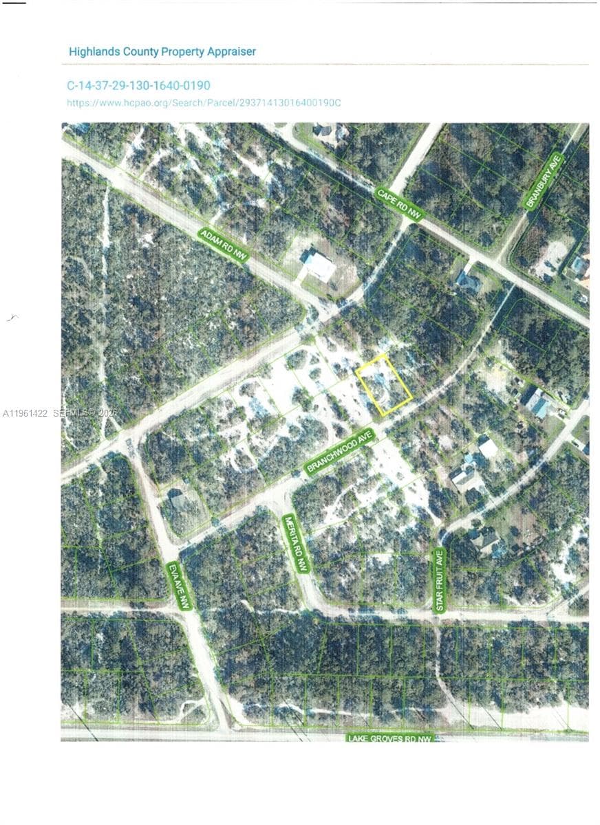 547 Branchwood Ave, Lake Placid FL 33852