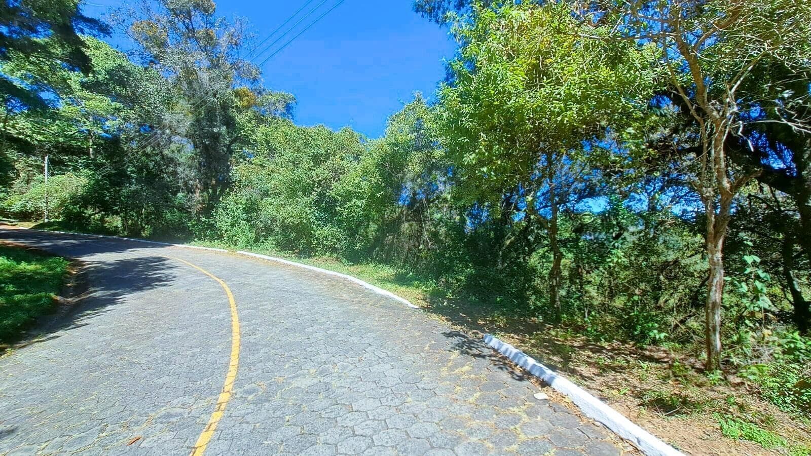 Lot View