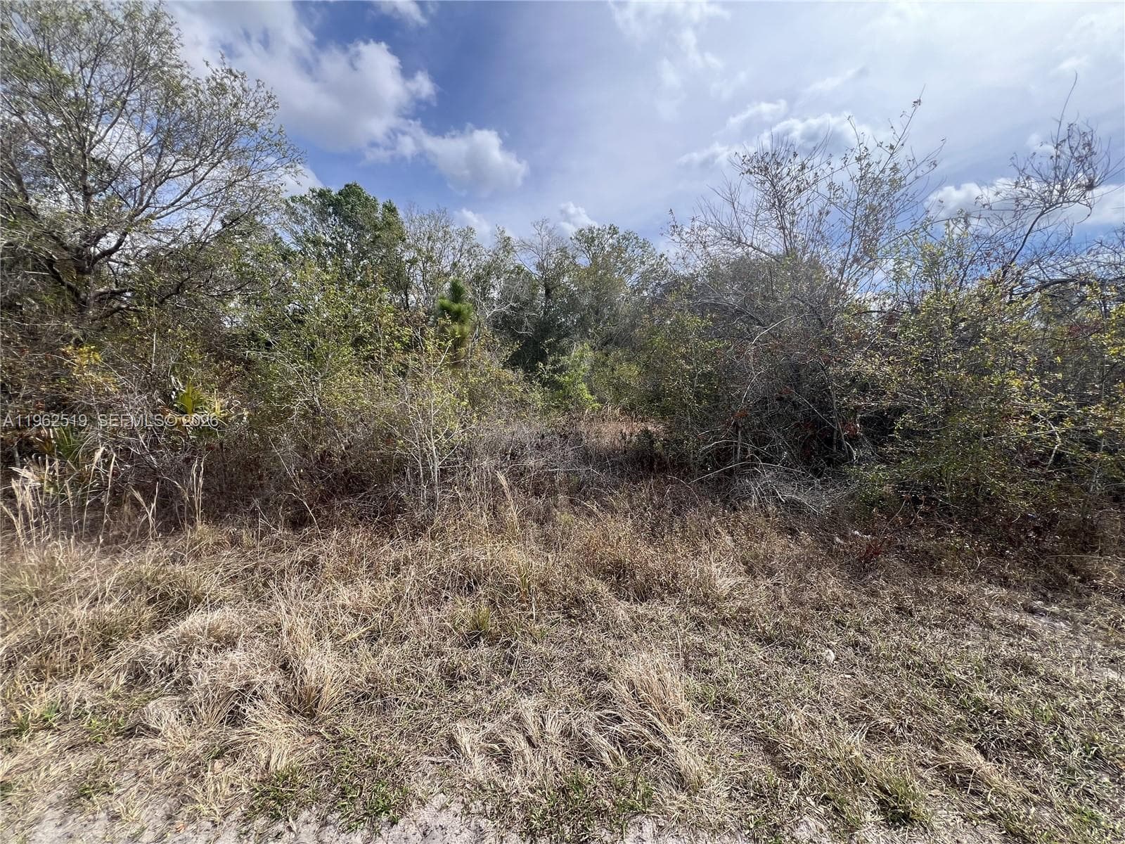 1913 Roderick Ln, Lehigh Acres FL 33972