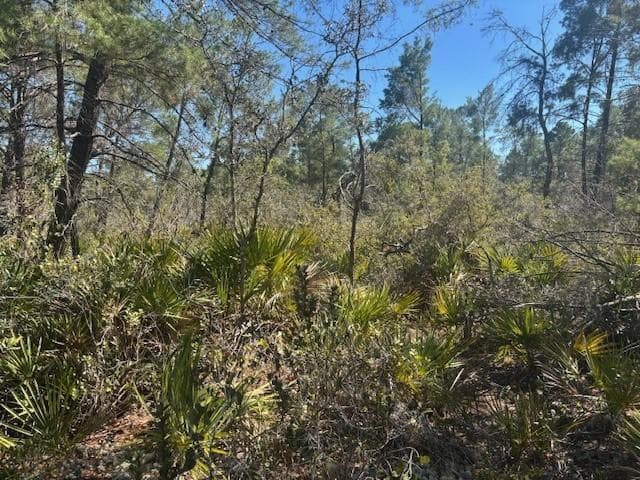 10681 Interlacher Drive, Sebring FL 33852