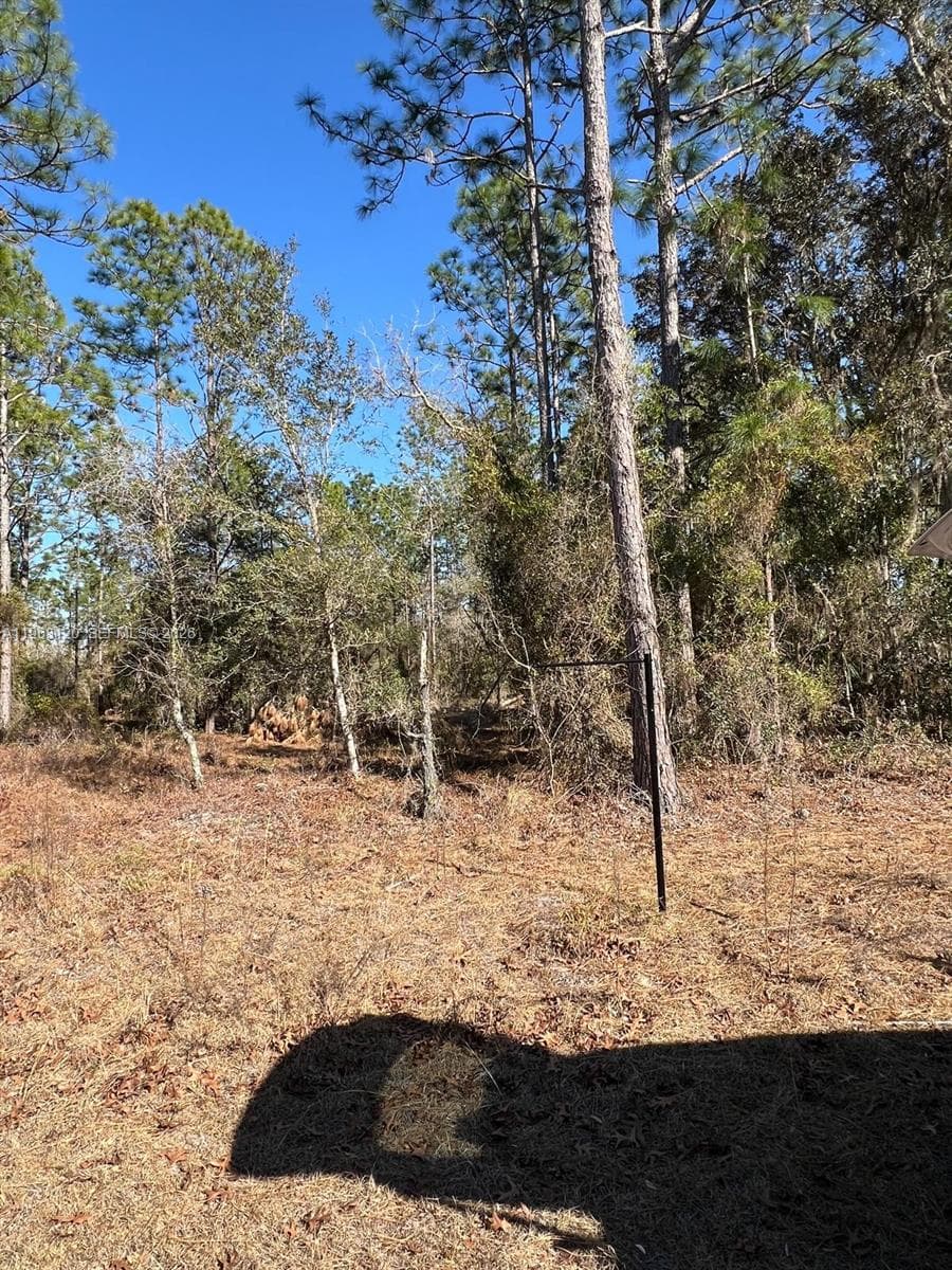 000 Rainbow Lakes Estates, Other City - In The State Of Florida FL 34431
