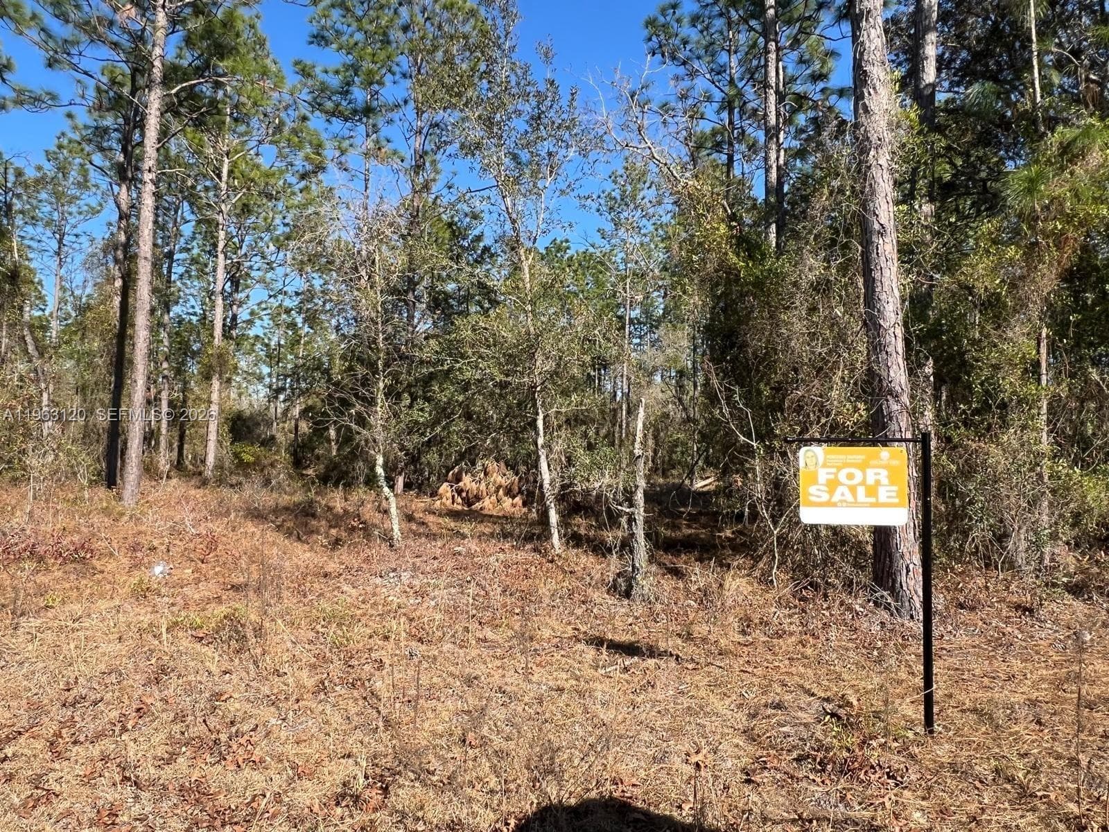 000 Rainbow Lakes Estates, Other City - In The State Of Florida FL 34431