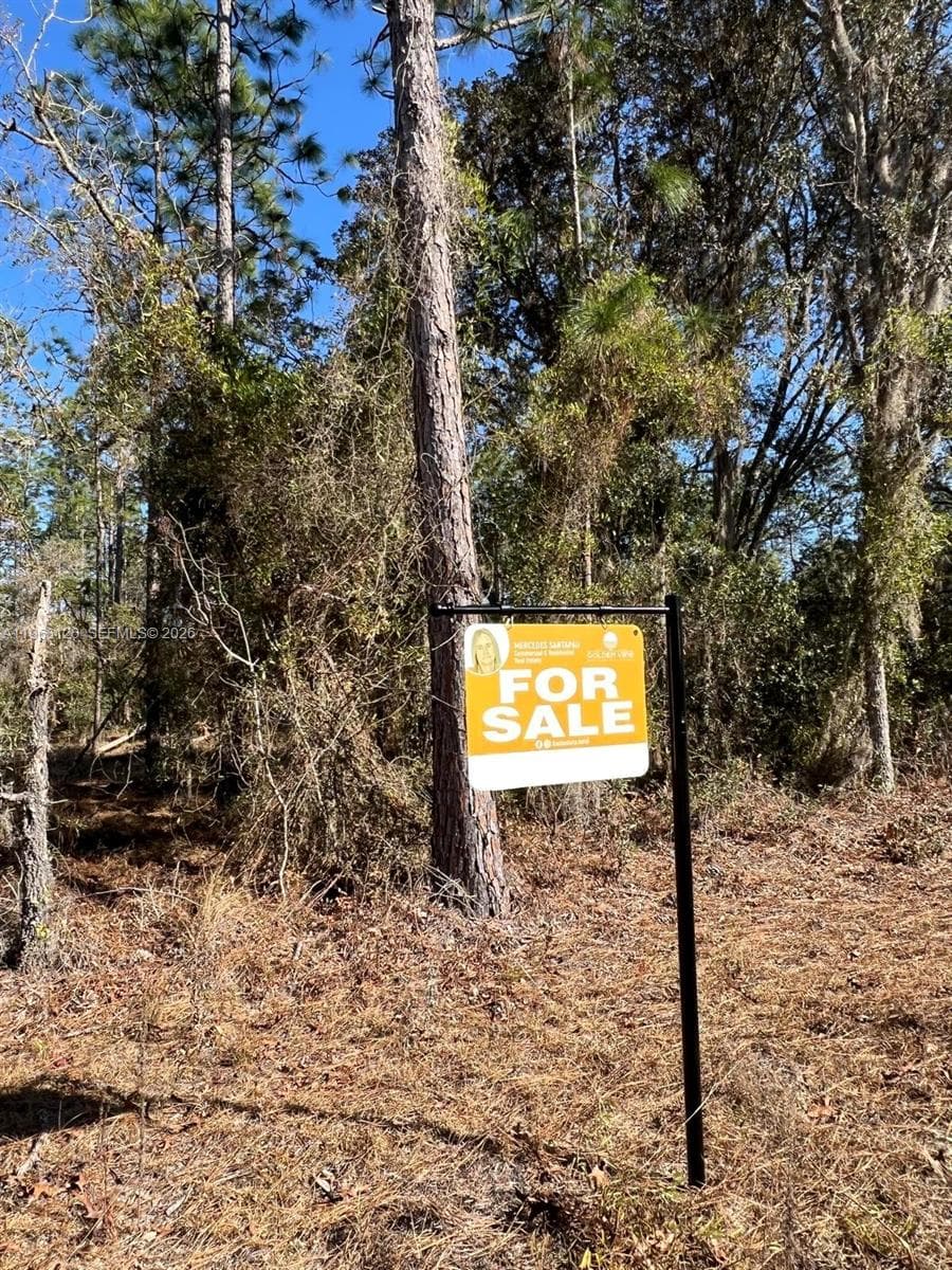 000 Rainbow Lakes Estates, Other City - In The State Of Florida FL 34431