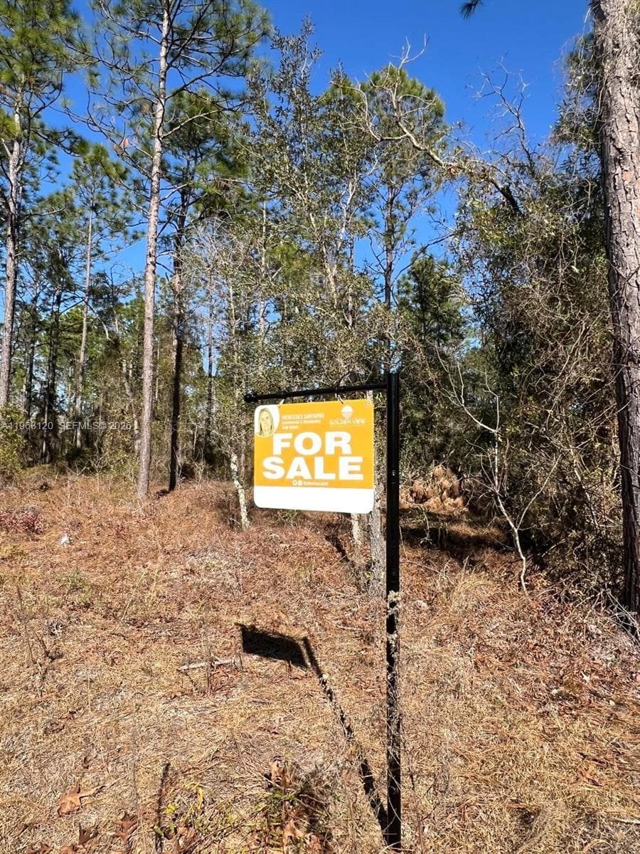 000 Rainbow Lakes Estates, Other City - In The State Of Florida FL 34431