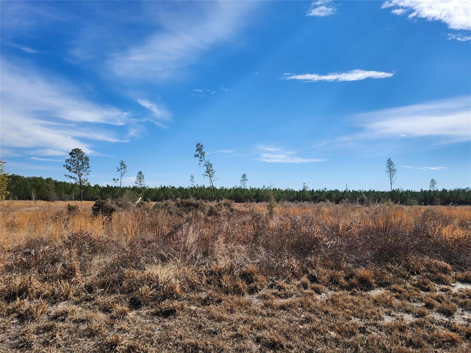 Lot 50 Fl-50, FL 32060
