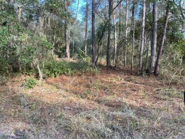 417 Incline, FL 32189