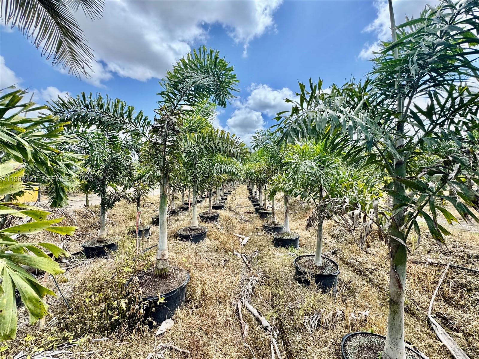 328XX SW 202 Ave, Homestead FL 33034