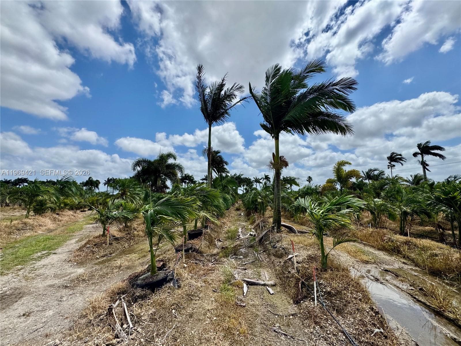 328XX SW 202 Ave, Homestead FL 33034