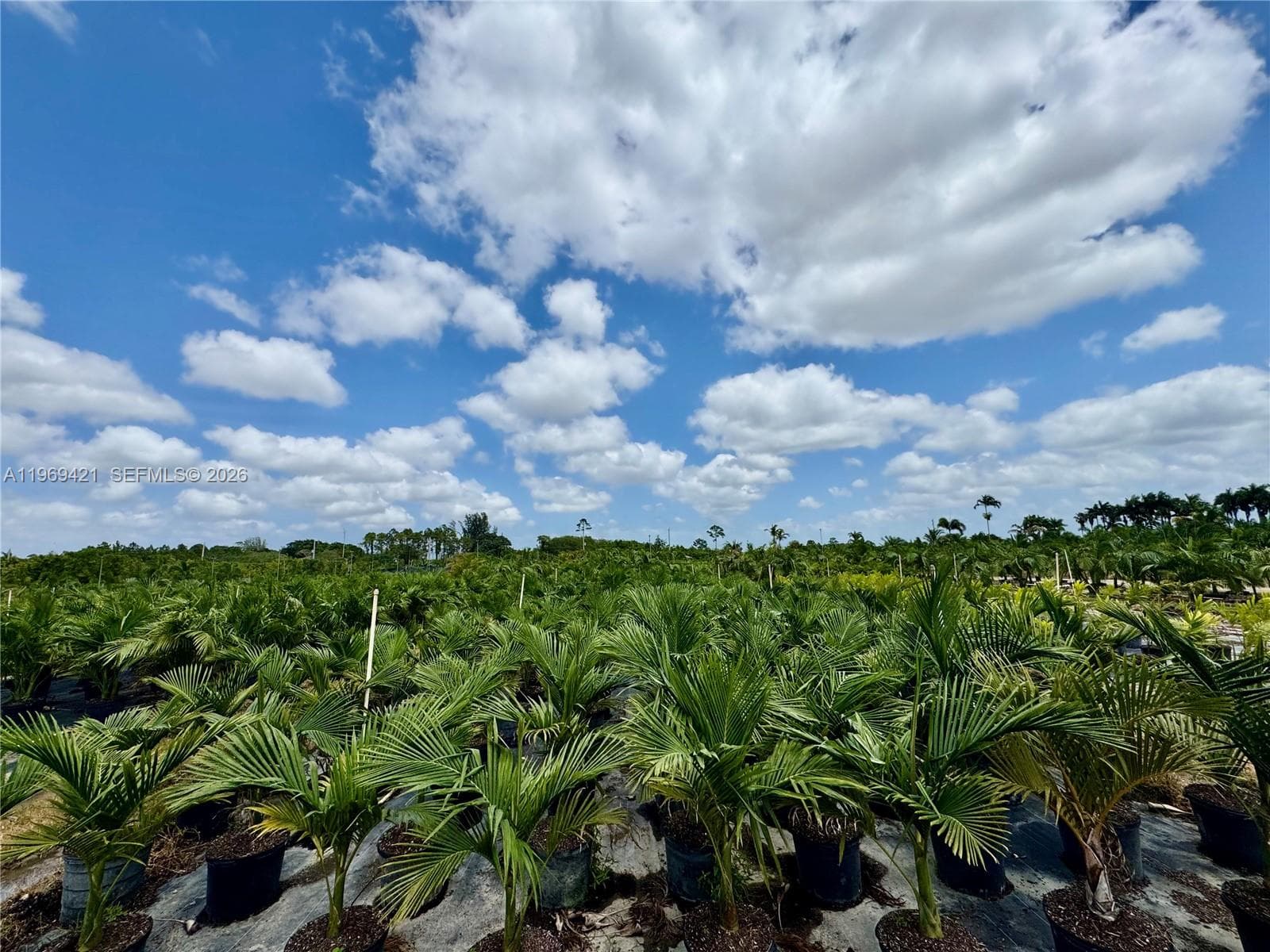328XX SW 202 Ave, Homestead FL 33034