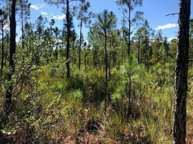 0 Old Grade Road, FL 33868