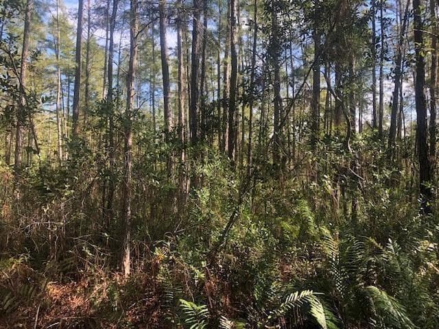 0 Old Grade Road, FL 33868
