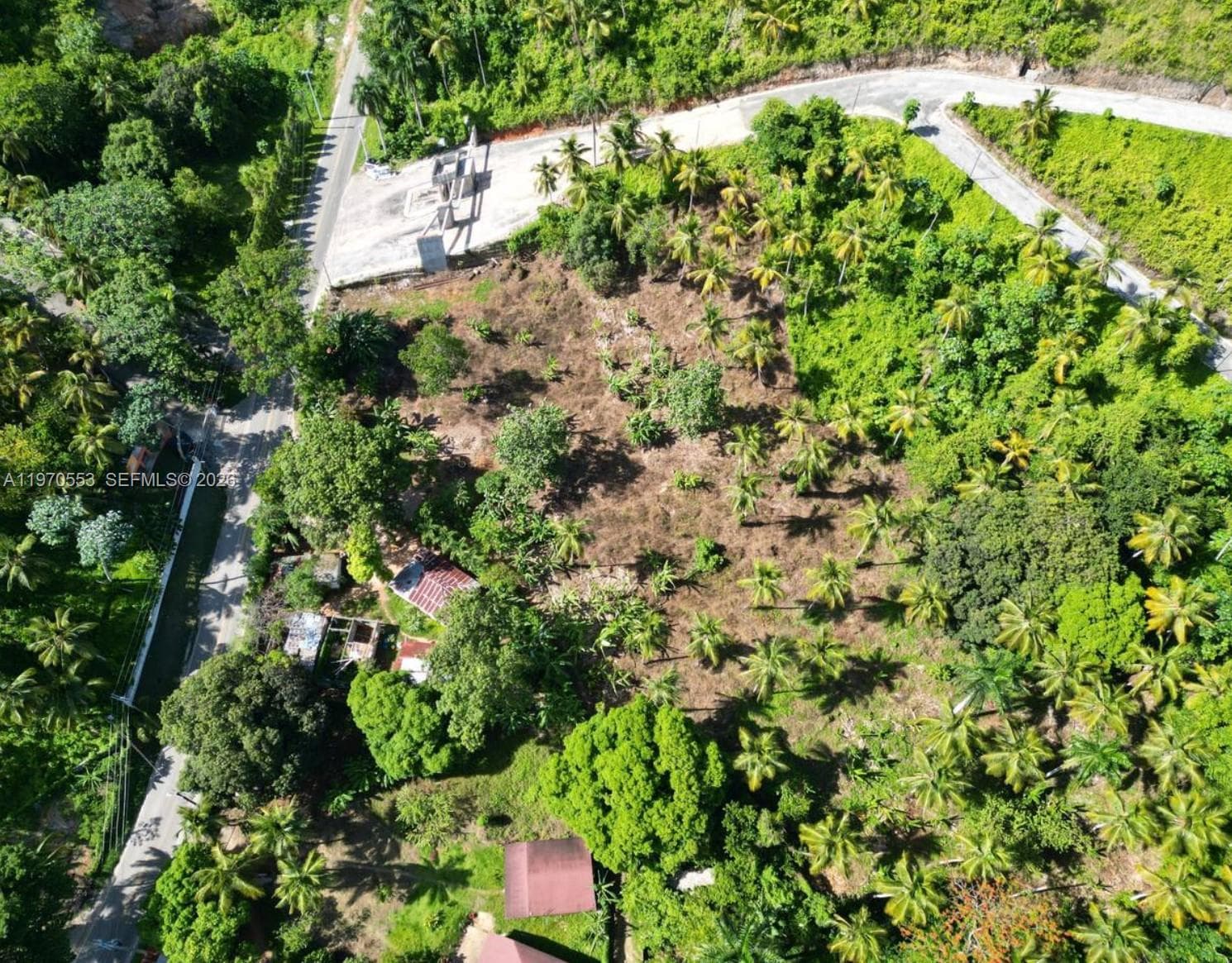 000 7CWM+V4G Las Terrenas, Dominican Republic, FL