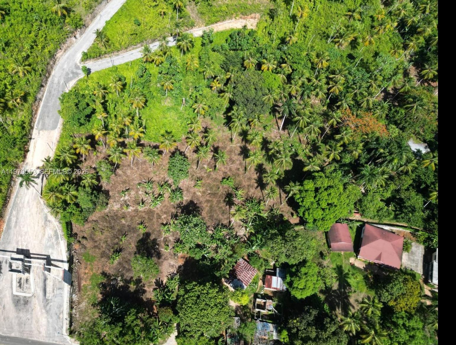 000 7CWM+V4G Las Terrenas, Dominican Republic, FL