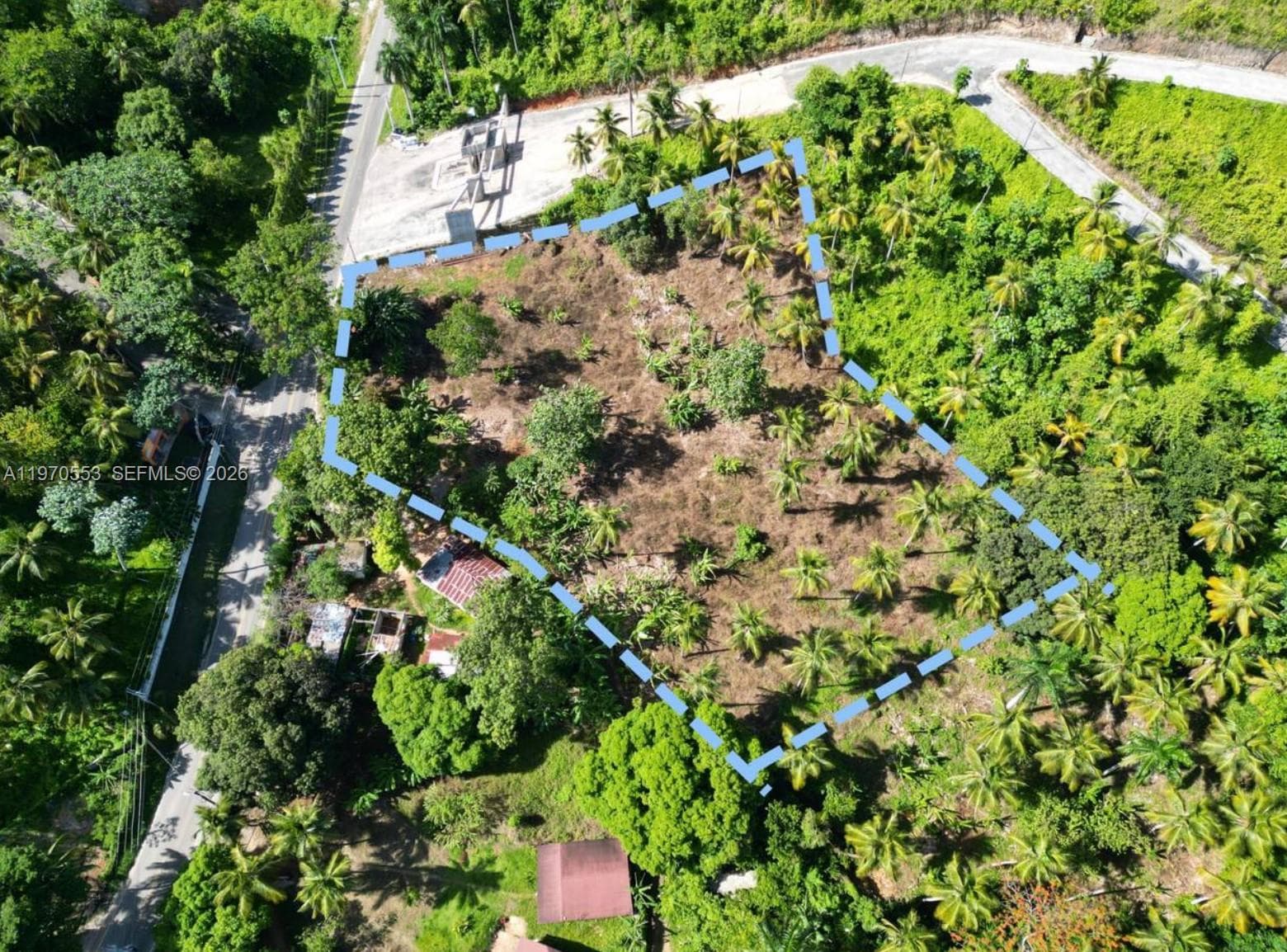 000 7CWM+V4G Las Terrenas, Dominican Republic, FL